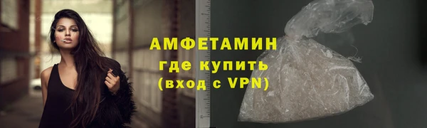 мдпв Краснослободск